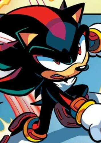 Shadow The Hedgehog