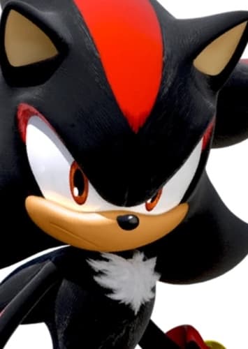 Shadow The Hedgehog