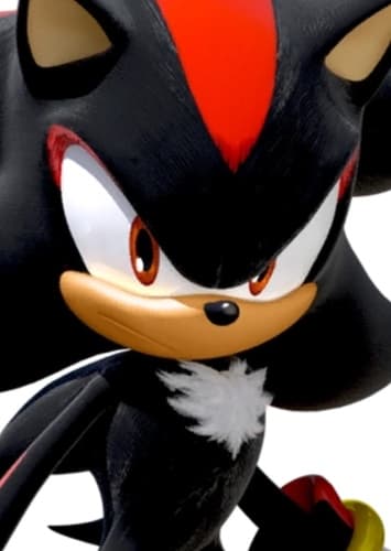 Shadow The Hedgehog
