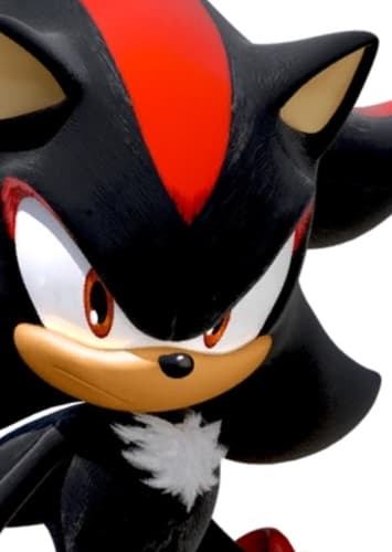Shadow The Hedgehog