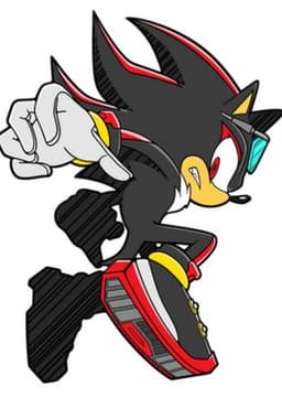 Shadow The Hedgehog