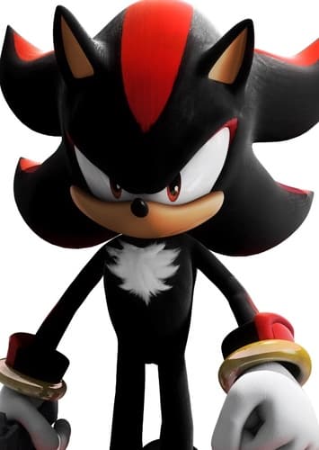 Shadow The Hedgehog