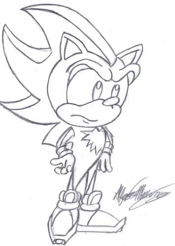 Shadow The Hedgehog