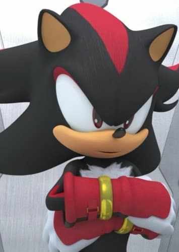 Shadow The Hedgehog