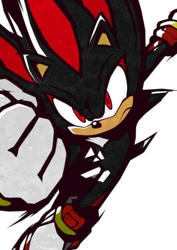 Shadow The Hedgehog