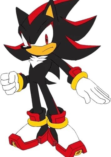 Shadow the Hedgehog
