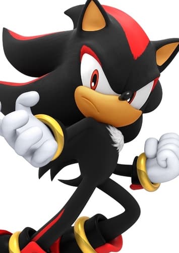 Shadow the Hedgehog