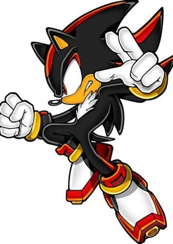 Shadow the Hedgehog