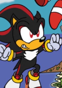 Shadow the Hedgehog