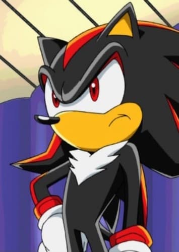 Shadow the Hedgehog