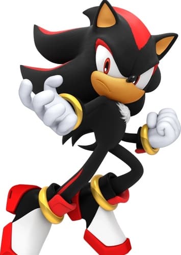 Shadow The Hedgehog