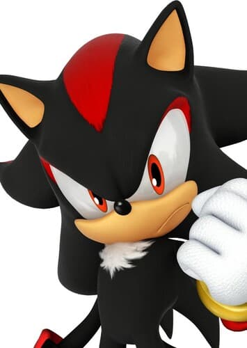Shadow The Hedgehog