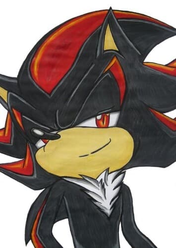 Shadow The Hedgehog