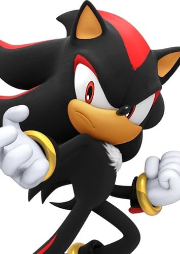 Shadow The Hedgehog