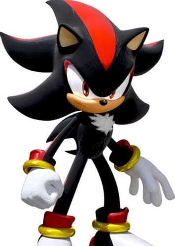 Shadow the hedgehog