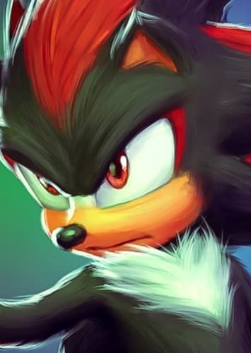 Shadow the Hedgehog