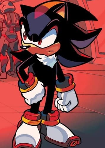 Shadow the Hedgehog