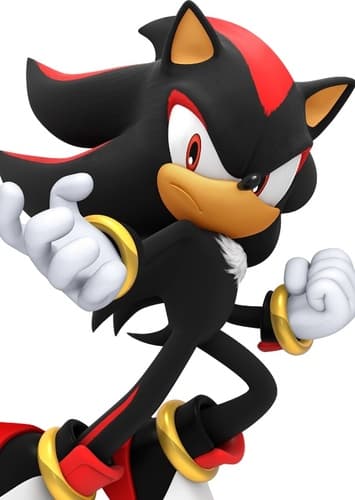 Shadow The Hedgehog