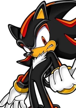 Shadow The Hedgehog