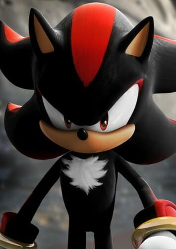 Shadow The Hedgehog