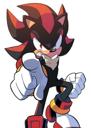 Shadow the Hedgehog