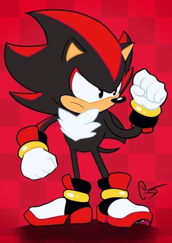 Shadow the Hedgehog