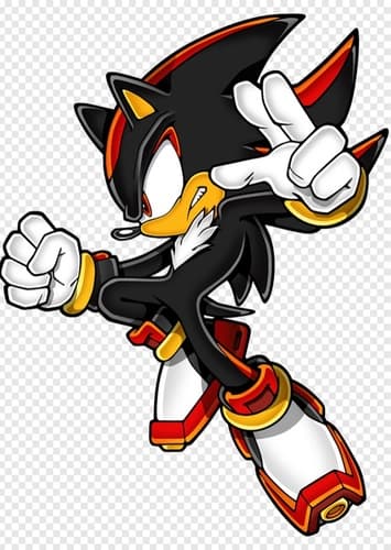 Shadow the hedgehog
