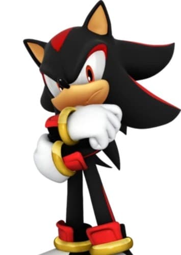 Shadow The Hedgehog
