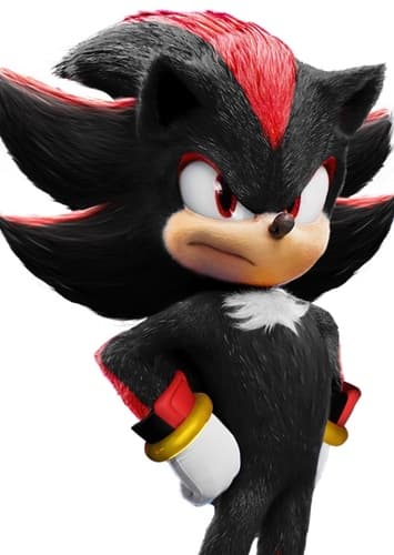 Shadow The Hedgehog