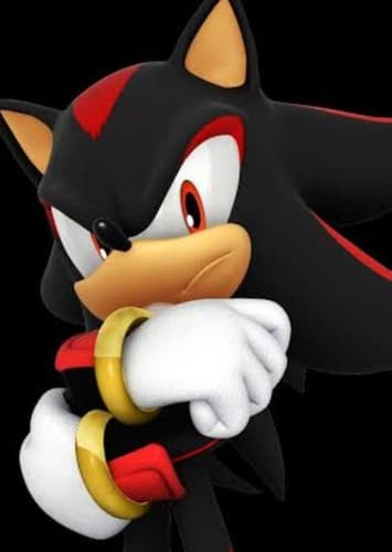 Shadow The Hedgehog