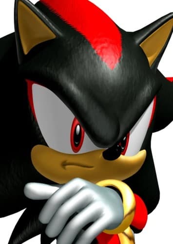 Shadow the Hedgehog