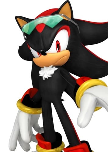 Shadow the Hedgehog