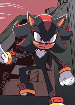 Shadow The Hedgehog