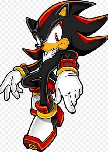 Shadow The Hedgehog