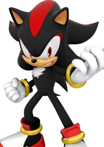 Shadow the Hedgehog