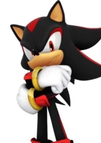 Shadow the Hedgehog