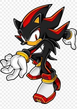 Shadow The Hedgehog
