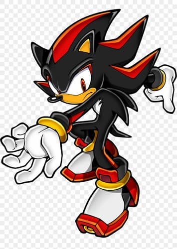 Shadow The Hedgehog