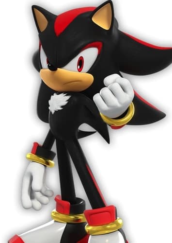 Shadow the Hedgehog (JP)