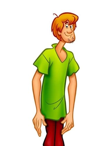 Shaggy