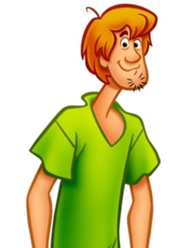 Shaggy