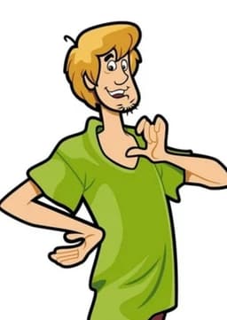 Shaggy