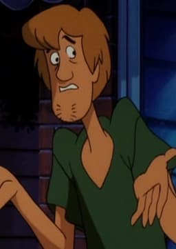 Shaggy Rogers