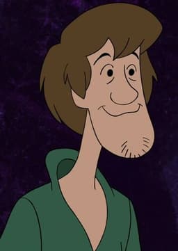 Shaggy Rogers