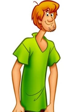 Shaggy Rogers