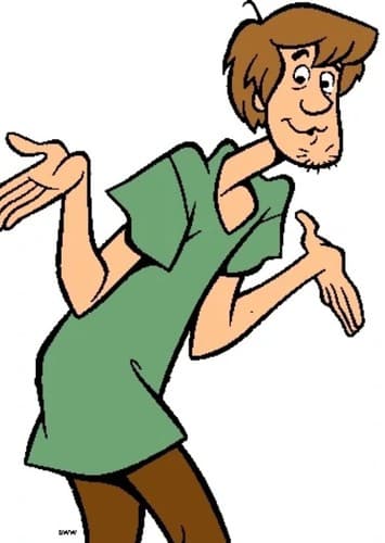 Shaggy Rogers