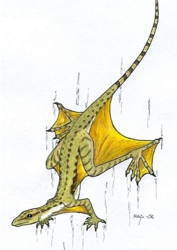 Sharovipteryx