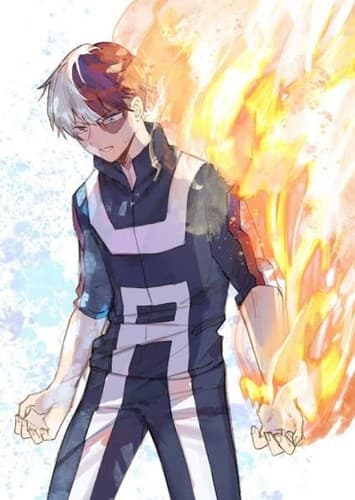 Shoto Todoroki