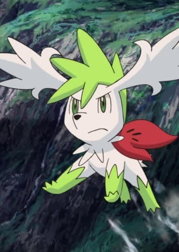 Shaymin