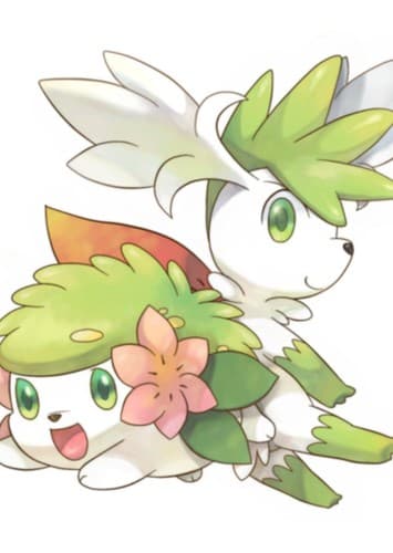 Shaymin